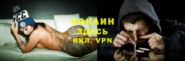 крисы Алексеевка