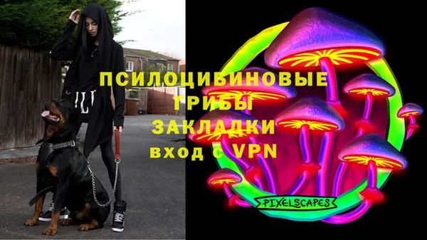 гидра Алзамай