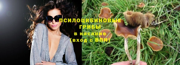 тгк Алексин