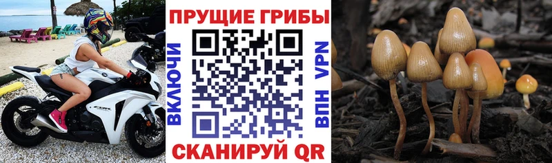 Псилоцибиновые грибы Magic Shrooms  Купить  Ханты-Мансийск 